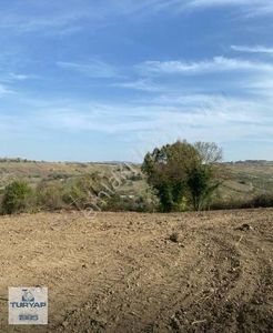 Arsa-Tarla