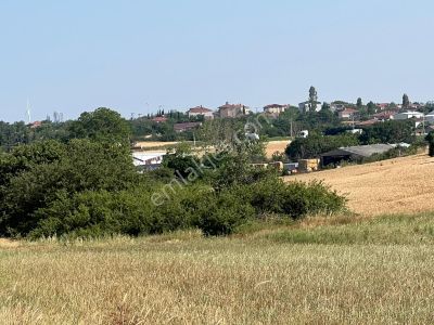 Arsa-Tarla
