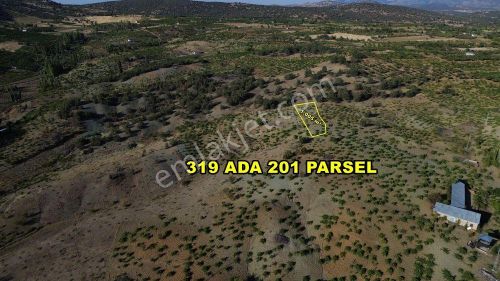 Arsa-Tarla