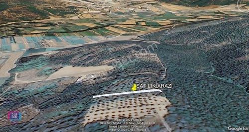 Arsa-Tarla