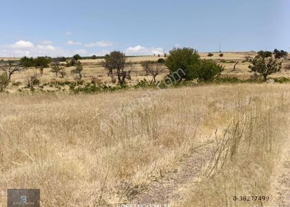 Arsa-Tarla