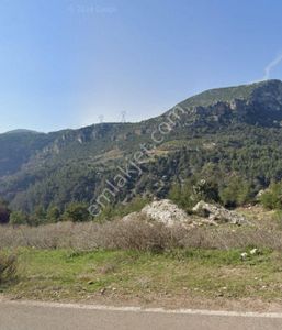 Arsa-Tarla
