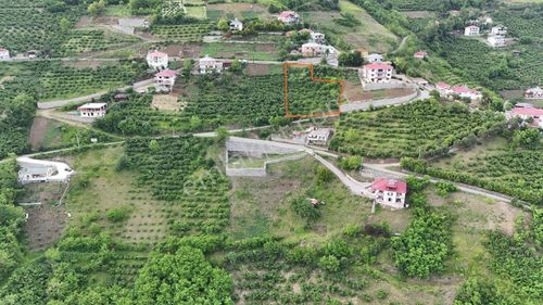 Arsa-Tarla