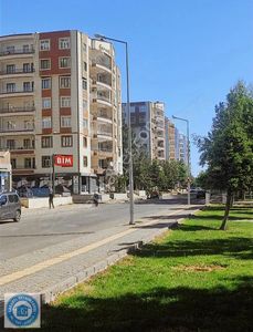 İşyeri-Dükkan & Mağaza