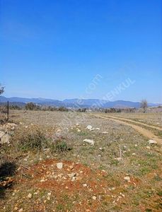 Arsa-Villa İmarlı