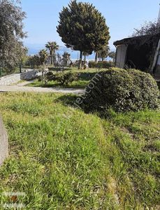 Konut-Yazlık