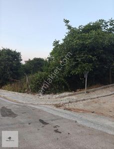 Arsa-Konut İmarlı