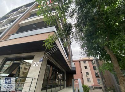 İşyeri-Plaza Katı