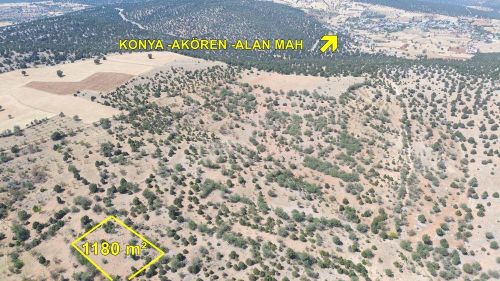 Arsa-Bağ & Bahçe
