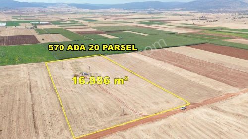 Arsa-Tarla