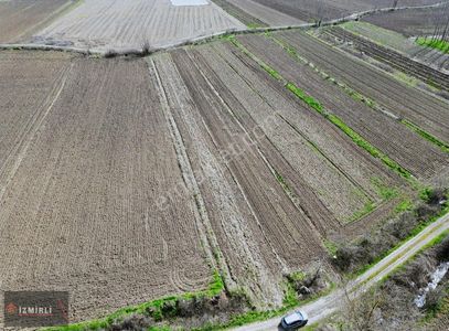 Arsa-Tarla