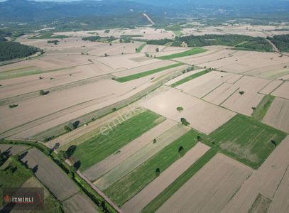 Arsa-Tarla