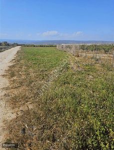 Arsa-Tarla