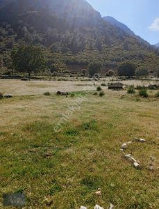Arsa-Tarla