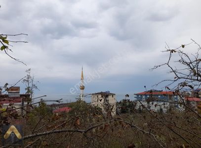 Arsa-Bağ & Bahçe