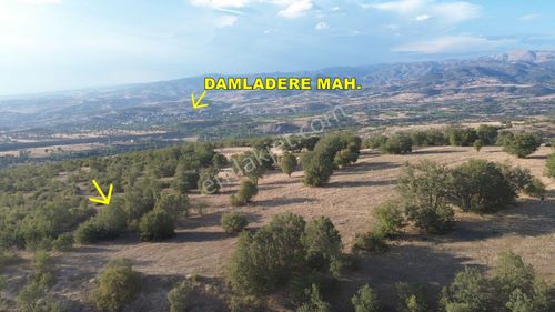 Arsa-Tarla