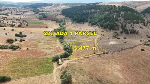 Arsa-Tarla