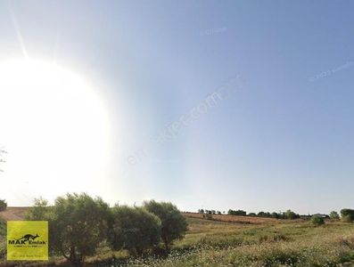 Arsa-Tarla