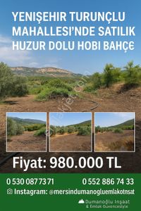 Arsa-Bağ & Bahçe