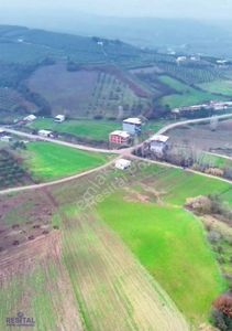 Arsa-Tarla