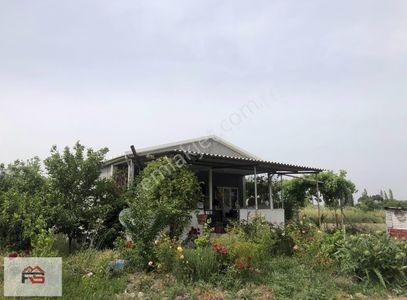 Arsa-Bağ & Bahçe
