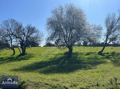 Arsa-Tarla