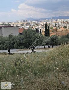 Arsa-Konut İmarlı