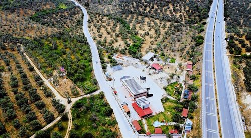 Arsa-Zeytinlik