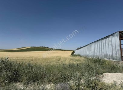 Arsa-Tarla