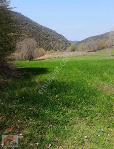 Arsa-Tarla
