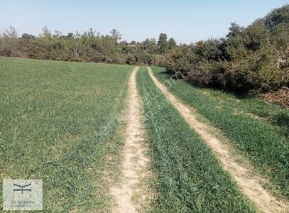 Arsa-Tarla