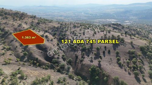 Arsa-Tarla