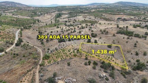 Arsa-Tarla