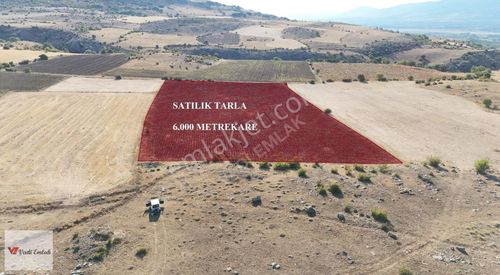 Arsa-Tarla