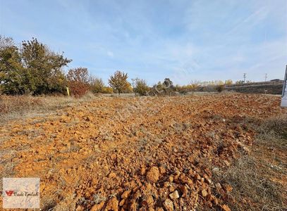 Arsa-Tarla