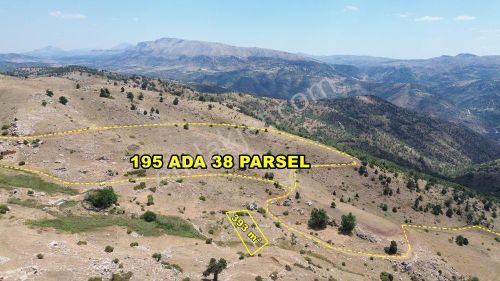 Arsa-Tarla