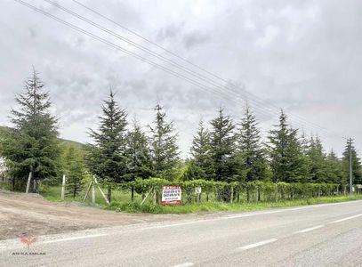 Arsa-Tarla