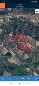 Arsa-Zeytinlik
