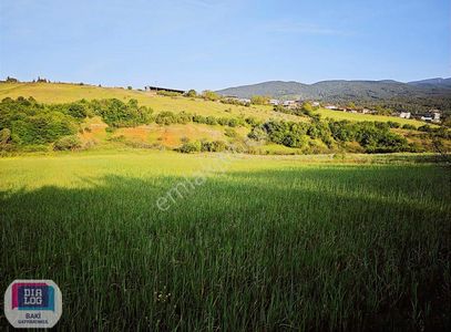 Arsa-Tarla