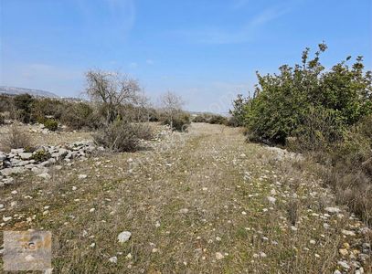 Arsa-Tarla
