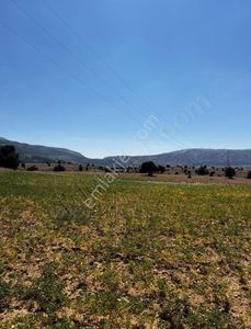 Arsa-Tarla