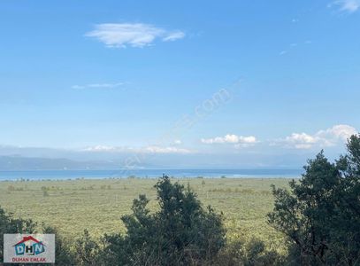Arsa-Zeytinlik
