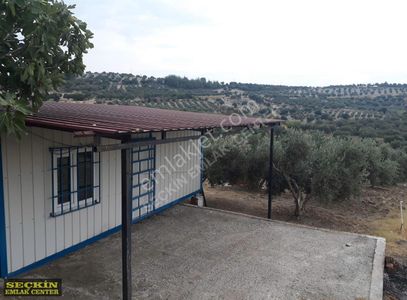 Arsa-Konut İmarlı