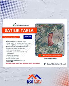 Arsa-Tarla