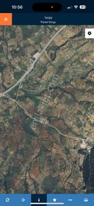 Arsa-Zeytinlik