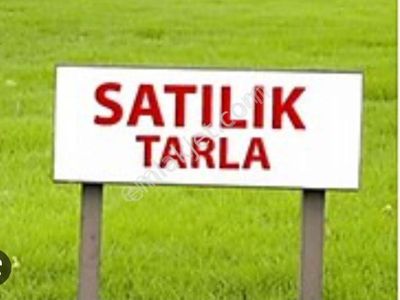 Arsa-Tarla