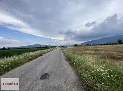 Arsa-Tarla