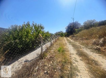 Konut-Müstakil Ev