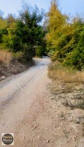 Arsa-Bağ & Bahçe