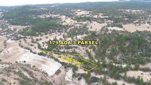 Arsa-Tarla